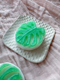 Monstera Soap