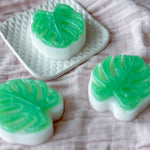 Monstera Soap