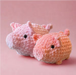 Piggy