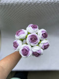 Purple & White Rose