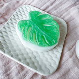 Monstera Soap