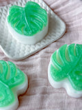 Monstera Soap